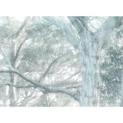 Komar Vlies Fototapete Magic Trees 300x280 cm