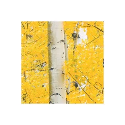 Komar Vlies Fototapete Orange Forest 400x250 cm