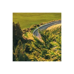 Komar Vlies Fototapete Paradise Island 400x250 cm