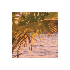 Komar Vlies Fototapete Reaching the Sun 400x250 cm