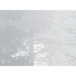 Komar Vlies Fototapete Silver Haze 400x280 cm