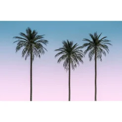 Komar Vlies Fototapete Skyhigh 400x250 cm