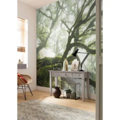 Komar Vlies Fototapete The Forgotten Forest 400x250 cm