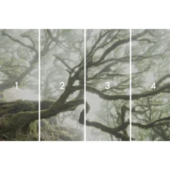 Komar Vlies Fototapete The Forgotten Forest 400x250 cm