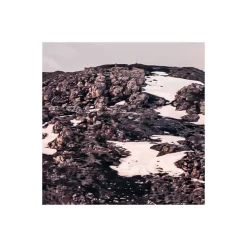 Komar Vlies Fototapete The Fortress 400x250 cm