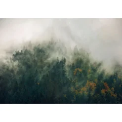 Komar Vlies Fototapete Tales of the Carpathians 300x200 cm