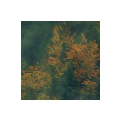 Komar Vlies Fototapete Tales of the Carpathians 300x200 cm