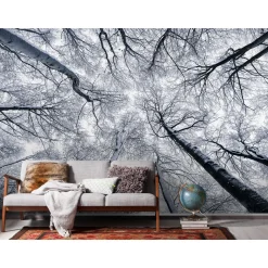 Komar Vlies Fototapete Up 400x250 cm