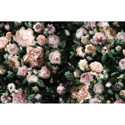 Komar Vlies Fototapete Victoria Black 400x250 cm