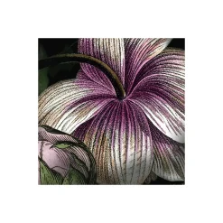 Komar Vlies Fototapete Victoria Black 400x250 cm