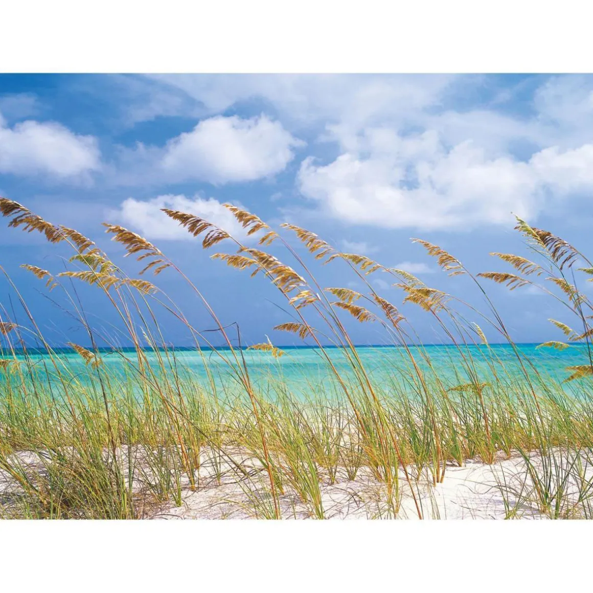 Komar Papier-Fototapete Ocean Breeze 8-teilig 368 x 254 cm