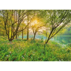 Komar Papier-Fototapete Spring Lake 8-teilig 368 x 254 cm