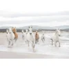Komar Papier-Fototapete White Horses 8-teilig 368 x 254 cm
