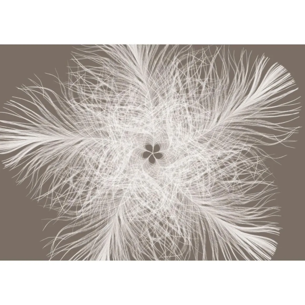 Komar Vlies-Fototapete Federstern 4-teilig 368 x 248 cm