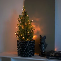 Konstsmide Micro LED Bueschellicherkette Cluster schwarz 30V Innentrafo 200 bernsteinfarbene Dioden