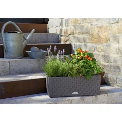 LECHUZA Blumenkasten Balconera Cottage 50 granit