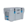 Lifetime Kühlbox Premium 73 L 47x76x47cm Grau