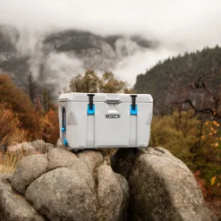 Lifetime Kühlbox Premium 73 L 47x76x47cm Grau