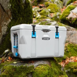 Lifetime Kühlbox Premium 73 L 47x76x47cm Grau