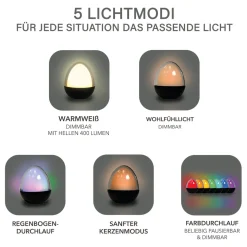 MegaLight LED-Dekoleuchte Ovo Pure 2,5 W RGBW IP54 Akkubetrieb