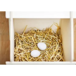 Nesteier aus Ton für Hühner 2 Stk.