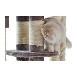 Nobby Kratzbaum Kyla 80 x 50 x 209 cm cappuccino