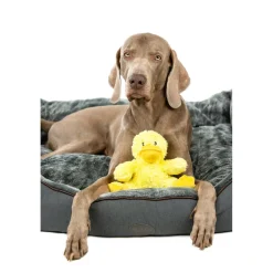 Nobby Pluesch Ente Daggi 18 cm