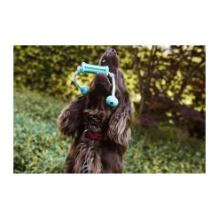 Nobby Vollgummi Stick mit Seil DENTAL LINE zweifarbig 37 x 9 cm