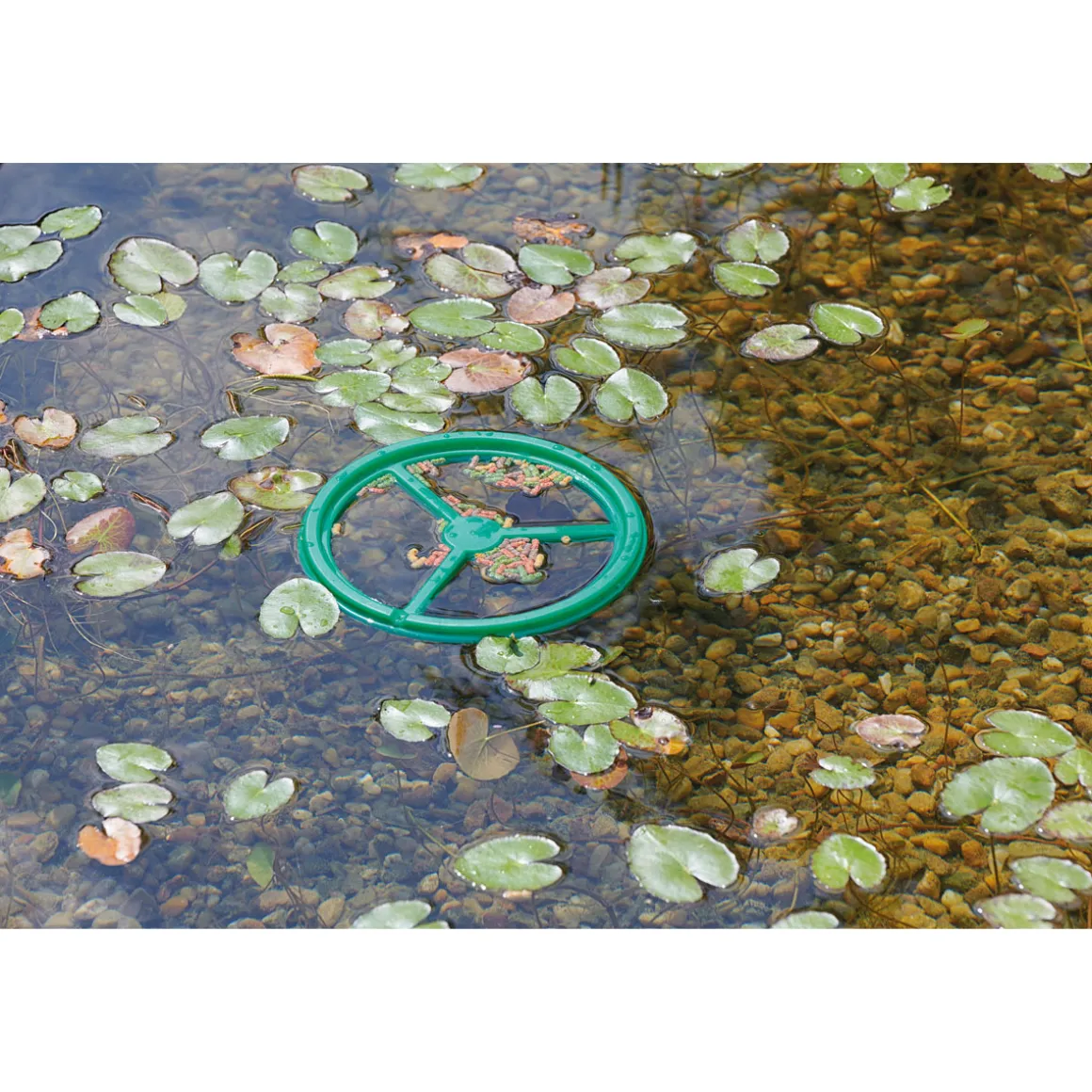 Oase Pontec Fütterungsring PondoFeed Ring