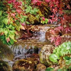 Oase Pontec PondoMax Eco 8500 C