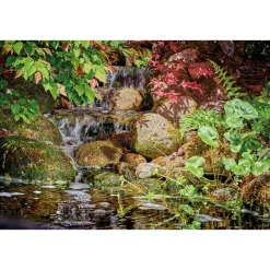 Oase Pontec PondoMax Eco 8500 C