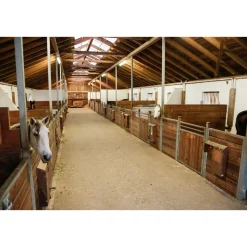 Outdoor-Kamera FHD mini schwarz 21 x 12,5 x 21 cm