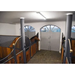 Outdoor-Kamera FHD schwarz 25 x 14 x 33 cm