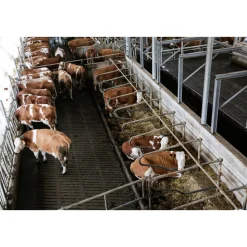 Outdoor-Kamera FHD schwarz 25 x 14 x 33 cm