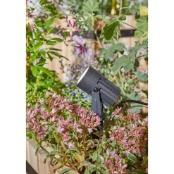 Paulmann Outdoor Link Light Set Spot 3x3W IP67 3000K 12V