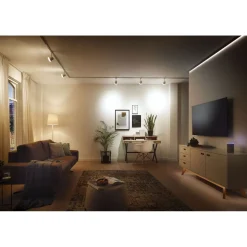 Paulmann Dimm-Controller Cephei 400 Watt weiß/grau