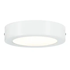 Paulmann LED-Wand-/Deckenleuchte Lunar Durchmesser 30 cm weiß