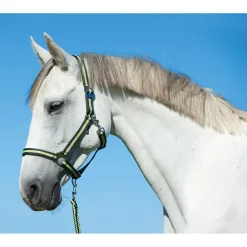 Pferdehalfter Hippo anthrazit-lemon Cob