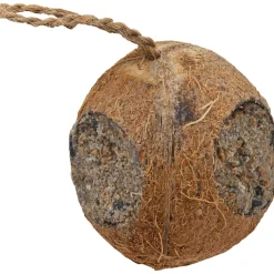 Pfiffikus Kokosnuss mit 3 Löchern