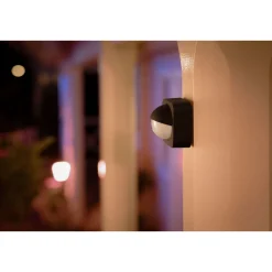 Philips Hue Sensor schwarz