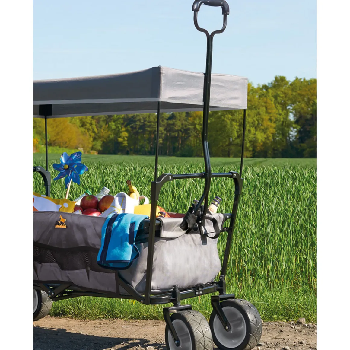 Pinolino Klappbollerwagen Paxi, grau