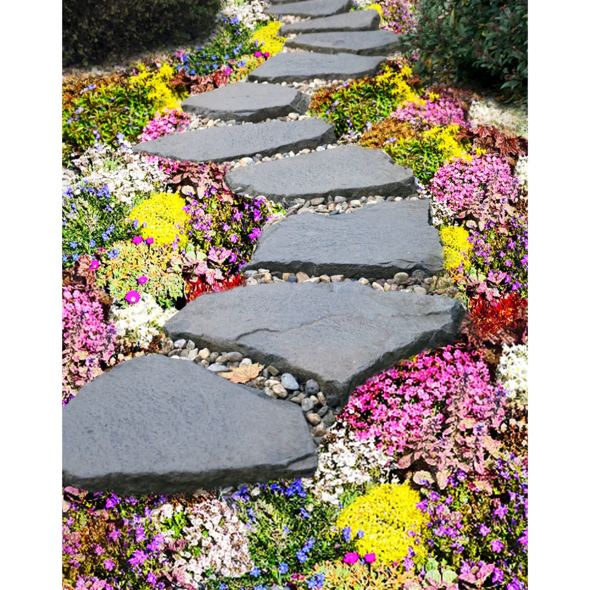 Plantiflor Bodendecker-Stauden Pflasta la Vista Topf 13 cm