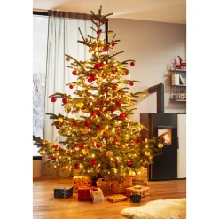 Plantiflor BIO Nordmanntanne 150-190 cm