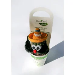 Plantiflor Kaktus-Mix mexikanisch T5,5