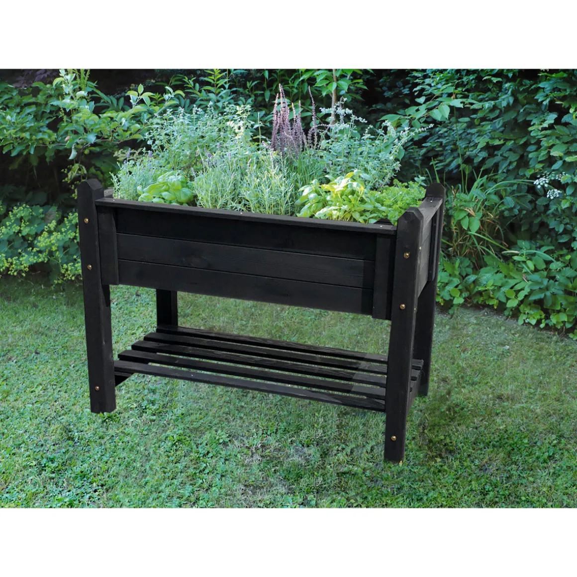 Promadino Kräuterbeet massiv groß