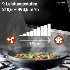 Respekta Haube Schwarz, 60 cm, EEK A++9 Leistungsstufen LED-Beleuchtung