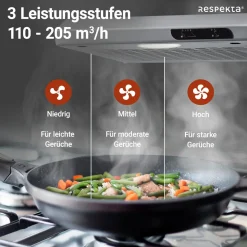 Respekta Suna Unterbauhaube DH540IXL 50 cm Edelstahl