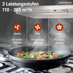 Respekta Suna Unterbauhaube DH520WL 50 cm Weiß