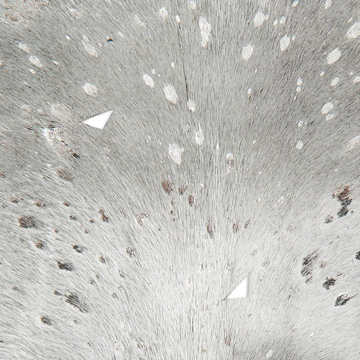 Rindlederteppich Fly 110 grau/silber