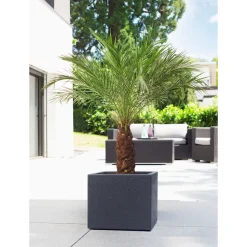 Scheurich Pflanzgefäß C-Cube 38 x 33 x 38 cm Stony Black